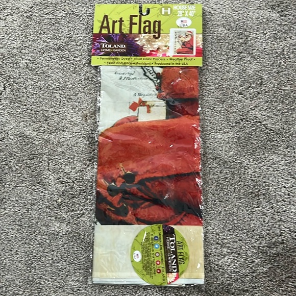 Santa at the Map House Flag - Picture 2 of 6